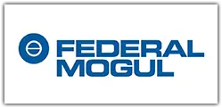 Federal mogul